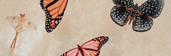 Alexis Ferrier banner