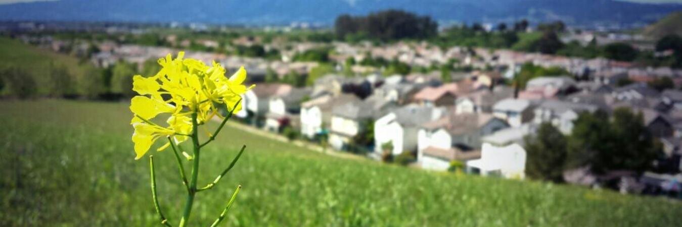 DesisInAmerica's profile banner image