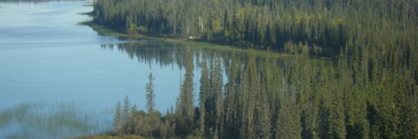 ClaudiaNWT Profile Banner