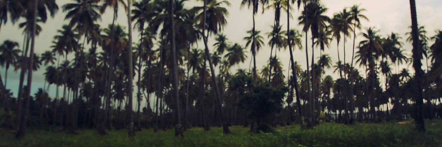 vondiaz's profile banner image