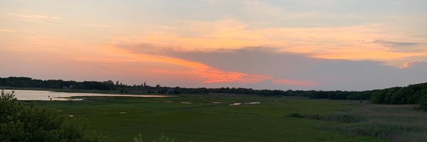 techpickles Profile Banner