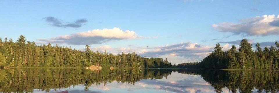 anilauramirez's profile banner image