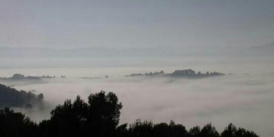 Toni Cuquerella banner