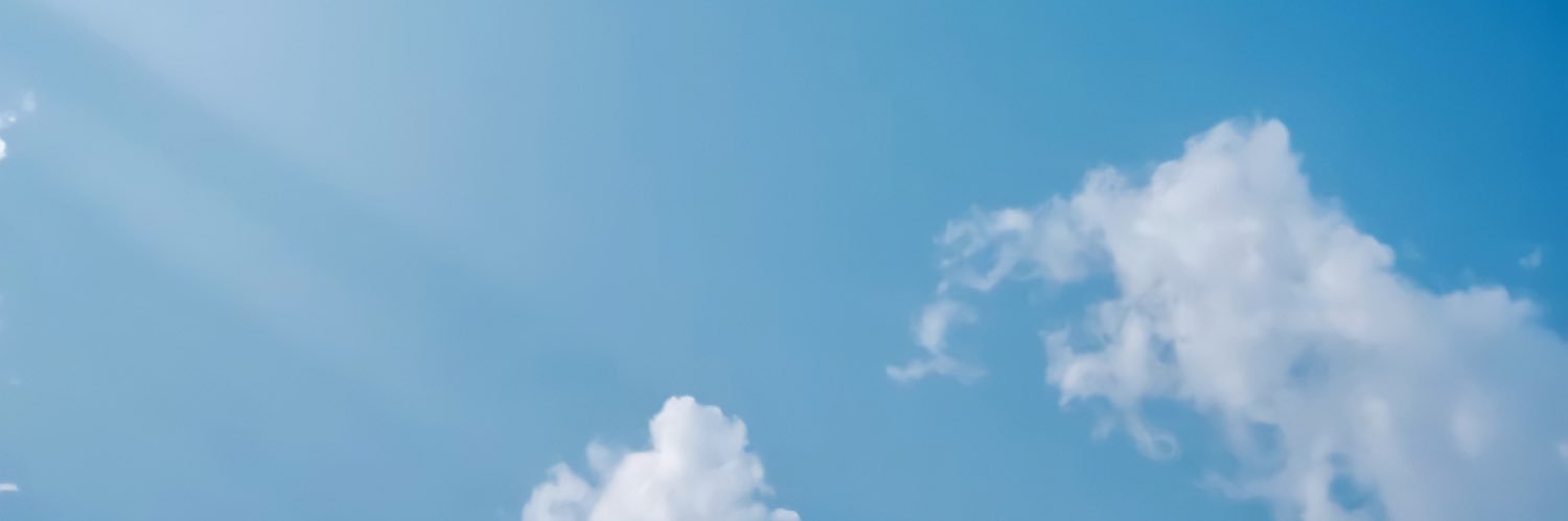 bee_emily's profile banner image