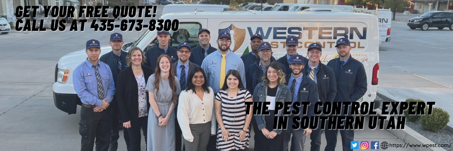 Wpest's profile banner image