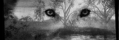 BONExxHEAD's profile banner image