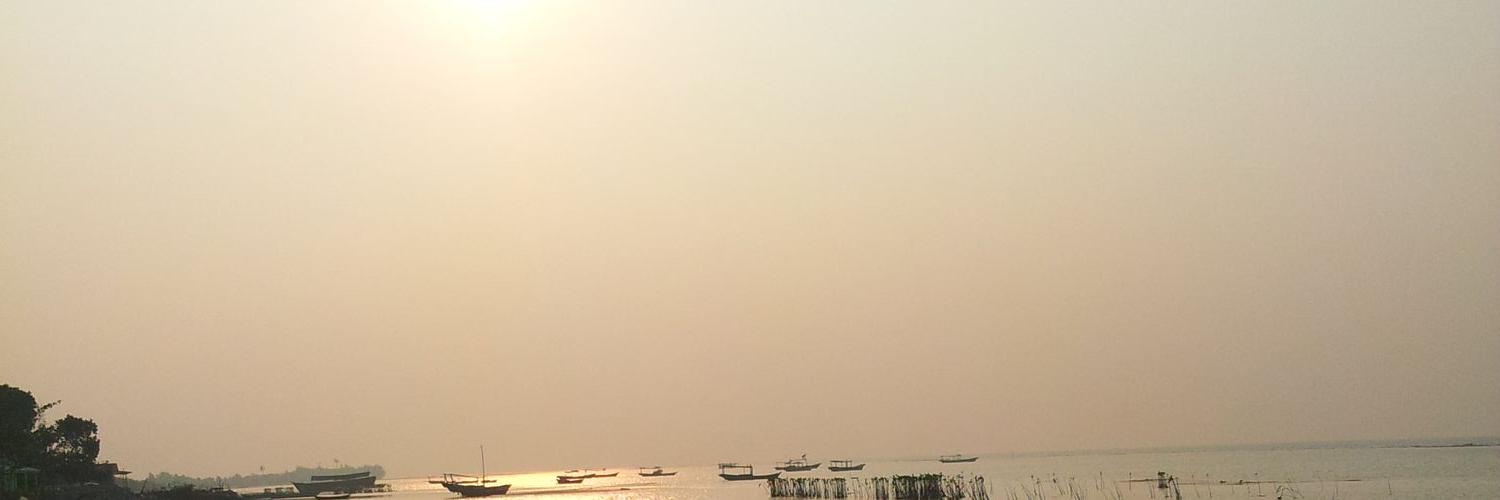 yayascil's profile banner image