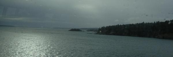 MoniquePolloni Profile Banner