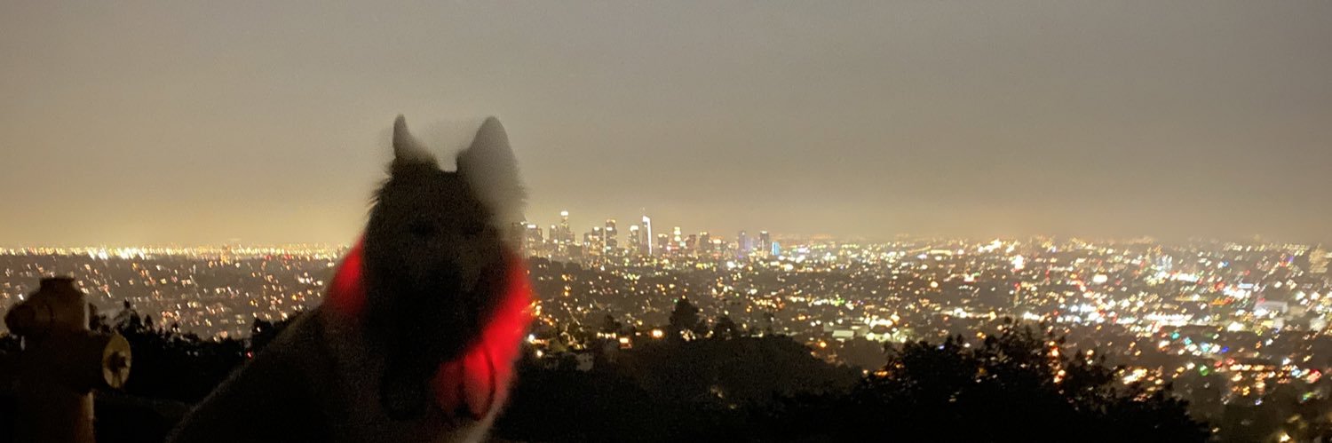 ayerielle's profile banner image