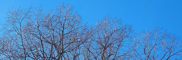 Snertly Profile Banner