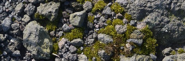 nadiakputri Profile Banner