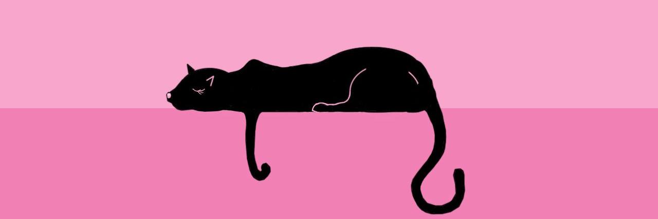 daanashulps's profile banner image