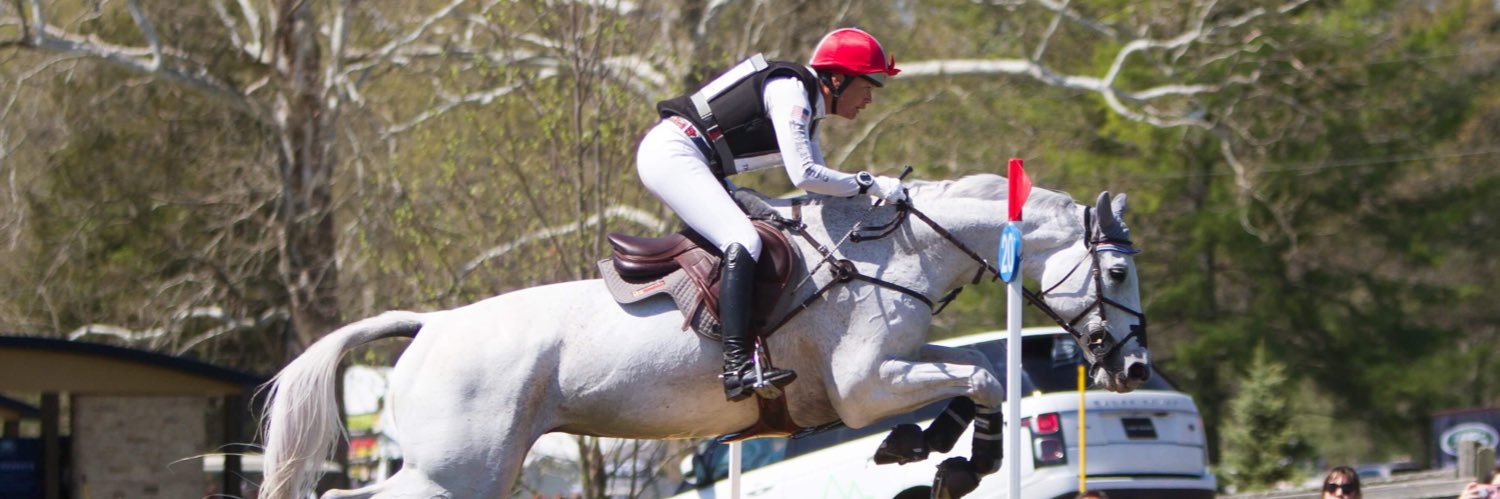 Tamie Smith banner