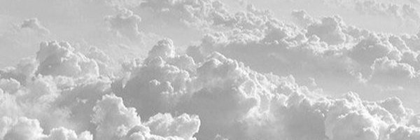 Braunzyy's profile banner image