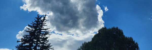 T3metrics Profile Banner