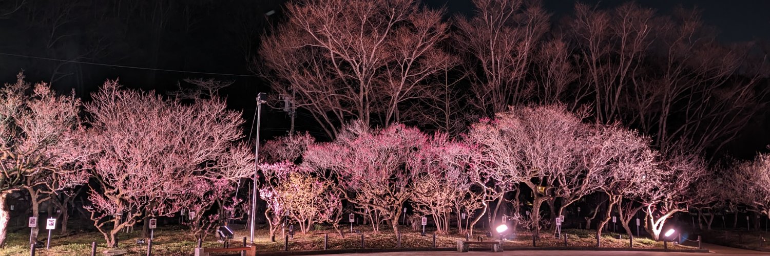 roka418's profile banner image
