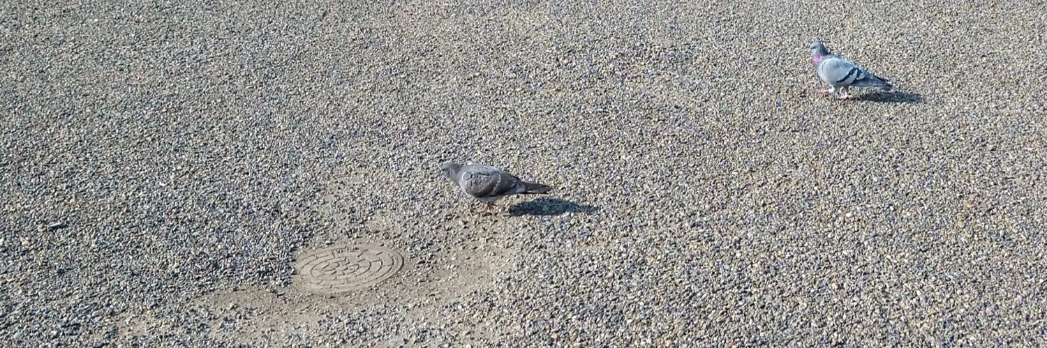 Tatsuya Tanaka（田中 達也）／作曲家 banner