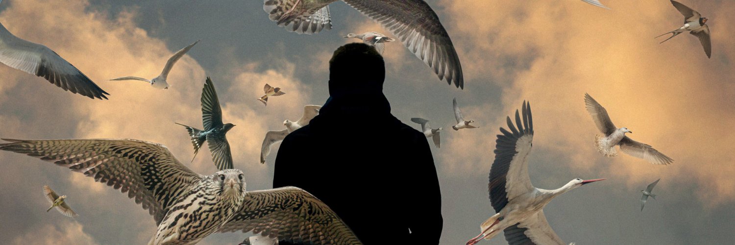 theoaartsma's profile banner image