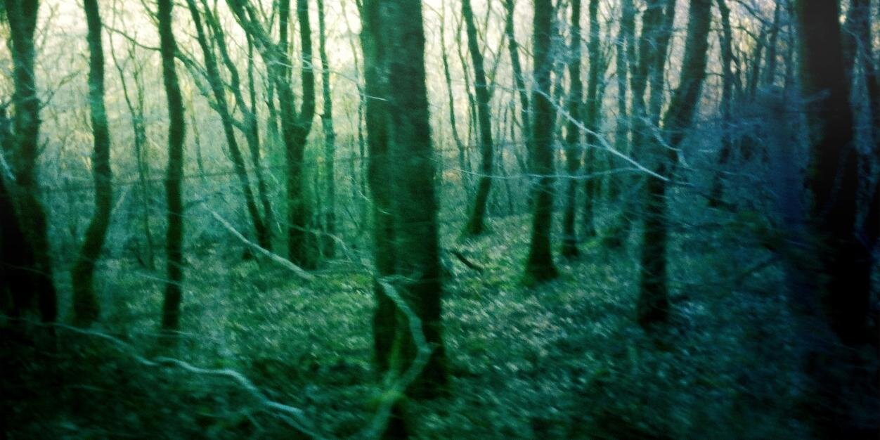 Anu Nousiainen banner