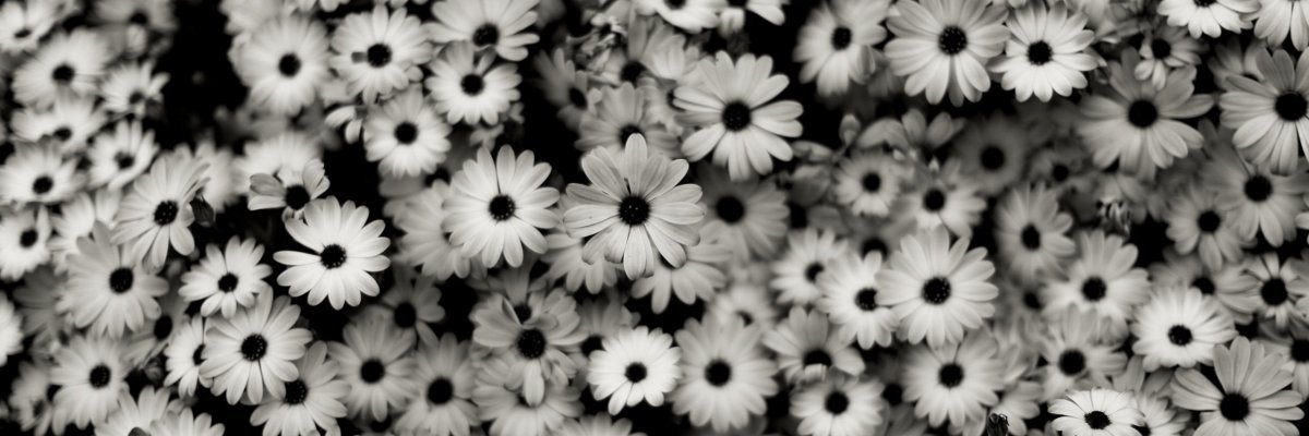 tha_mieyu's profile banner image