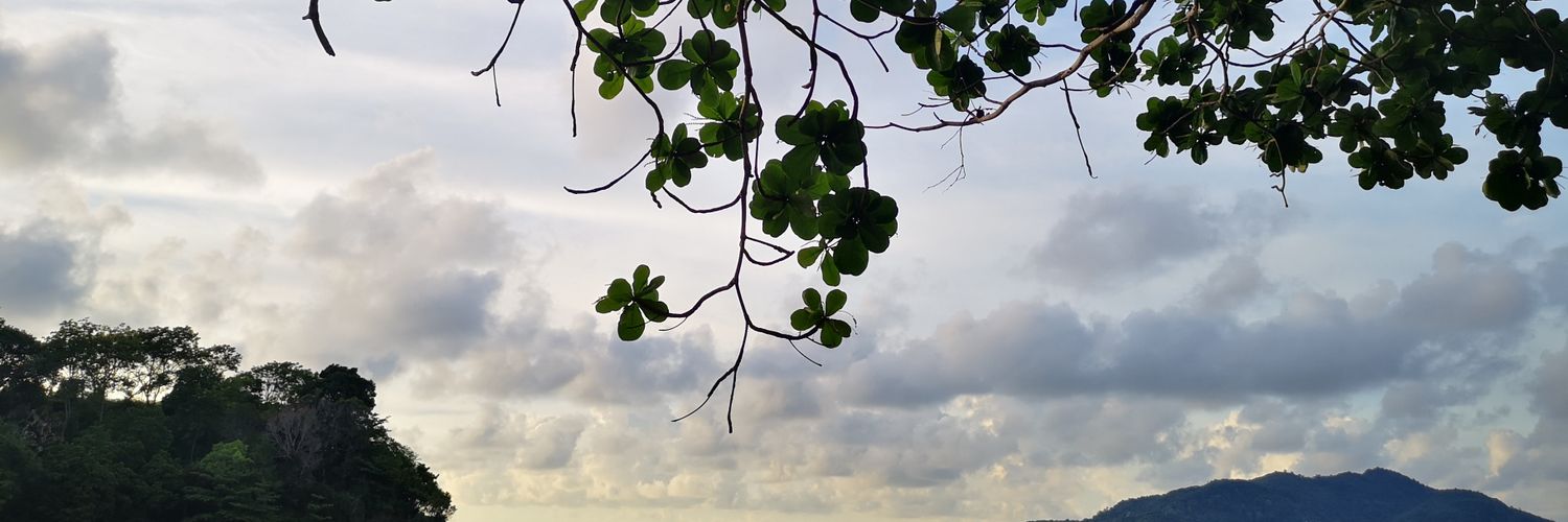 iiToy's profile banner image