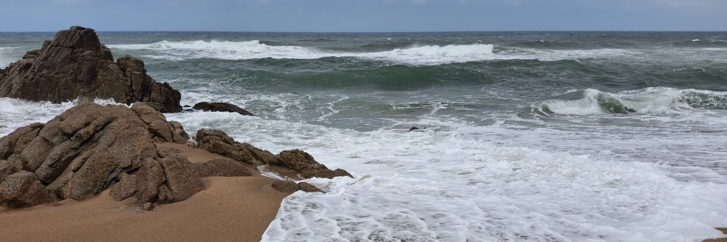 janeildavis's profile banner image
