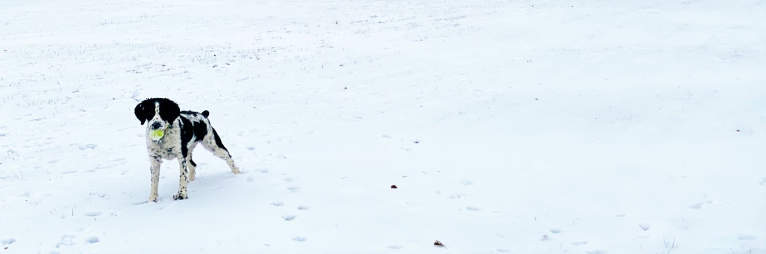 kilecarp's profile banner image