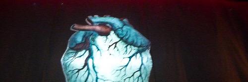 ZombieRon's profile banner image