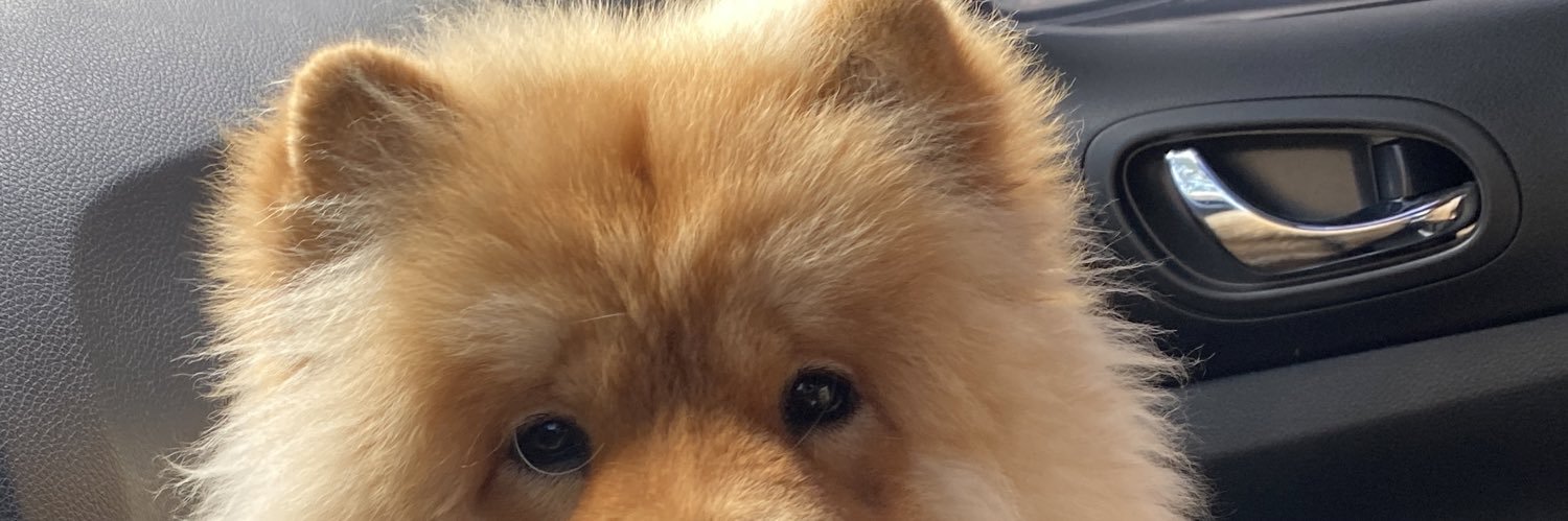 andysarang's profile banner image