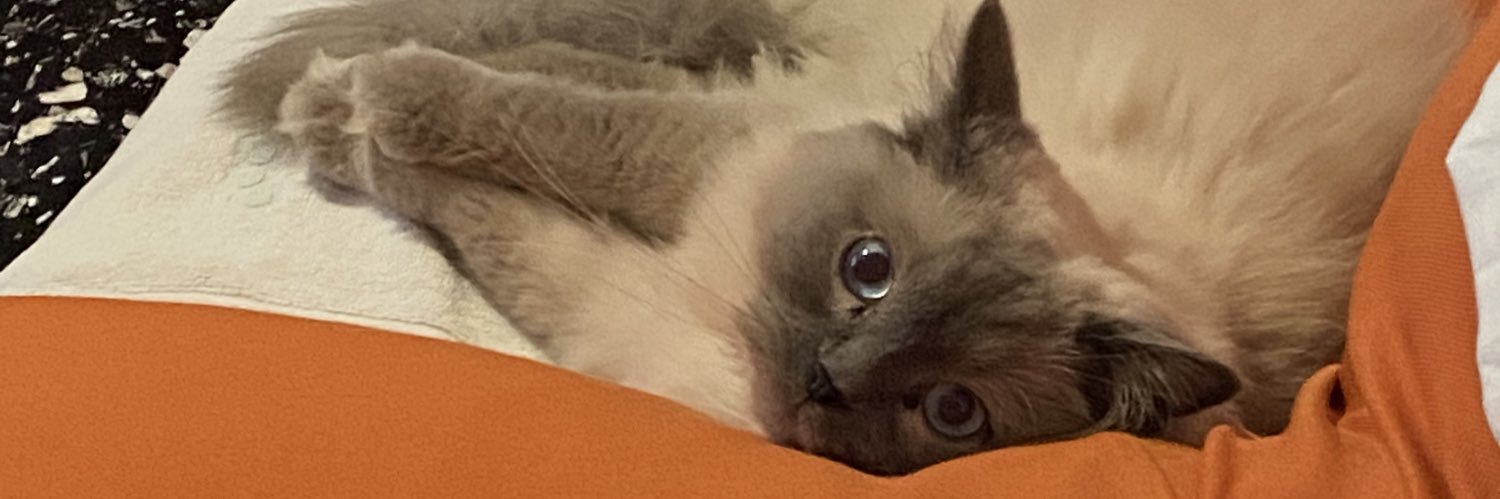 fantukki3llo's profile banner image