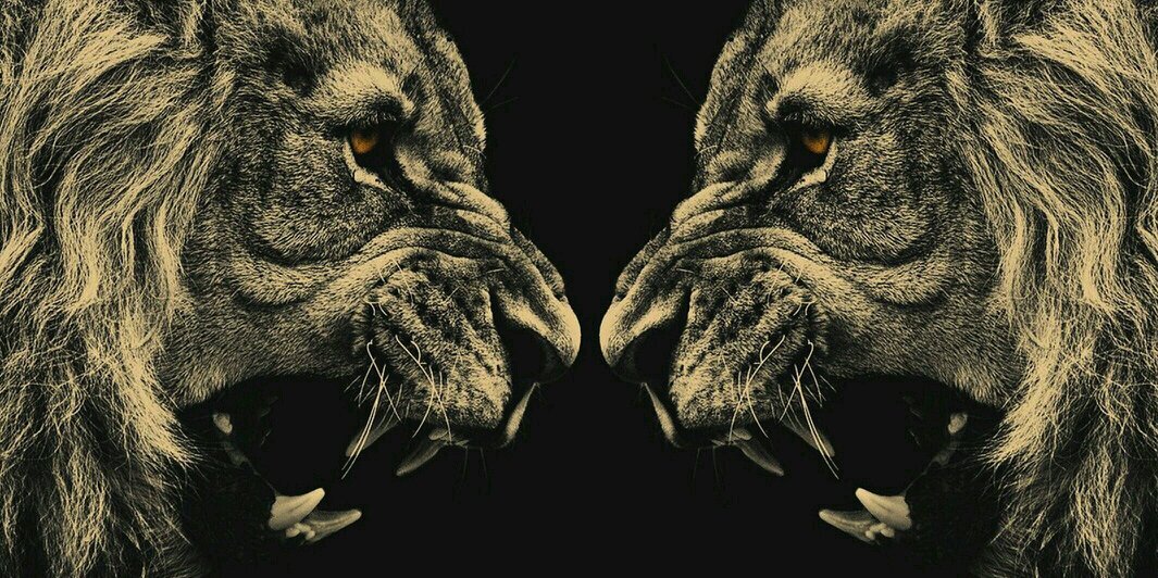 ShininDown's profile banner image