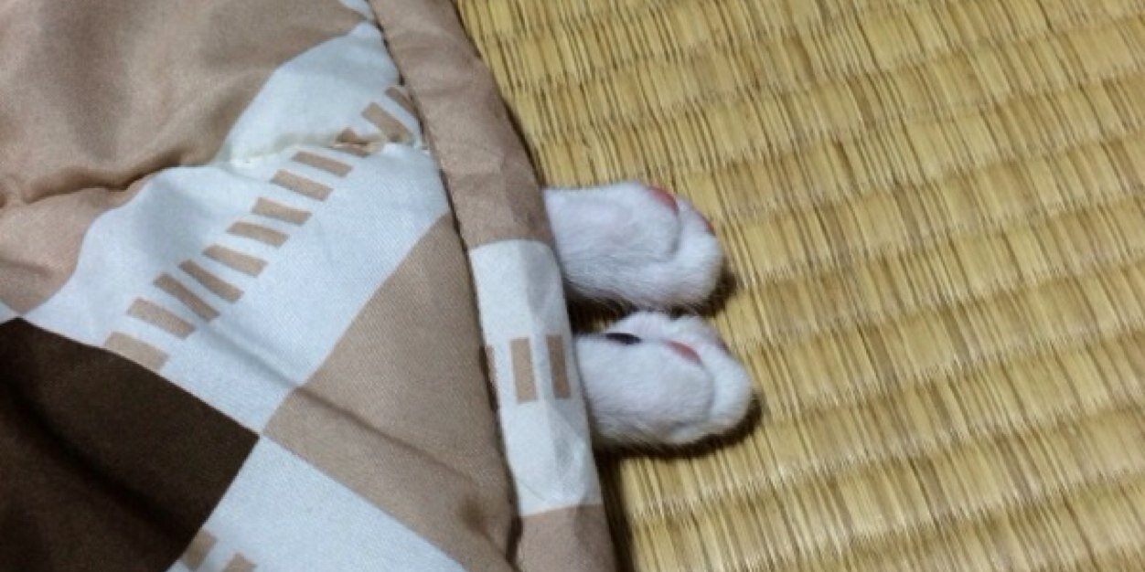 hatandshoes's profile banner image