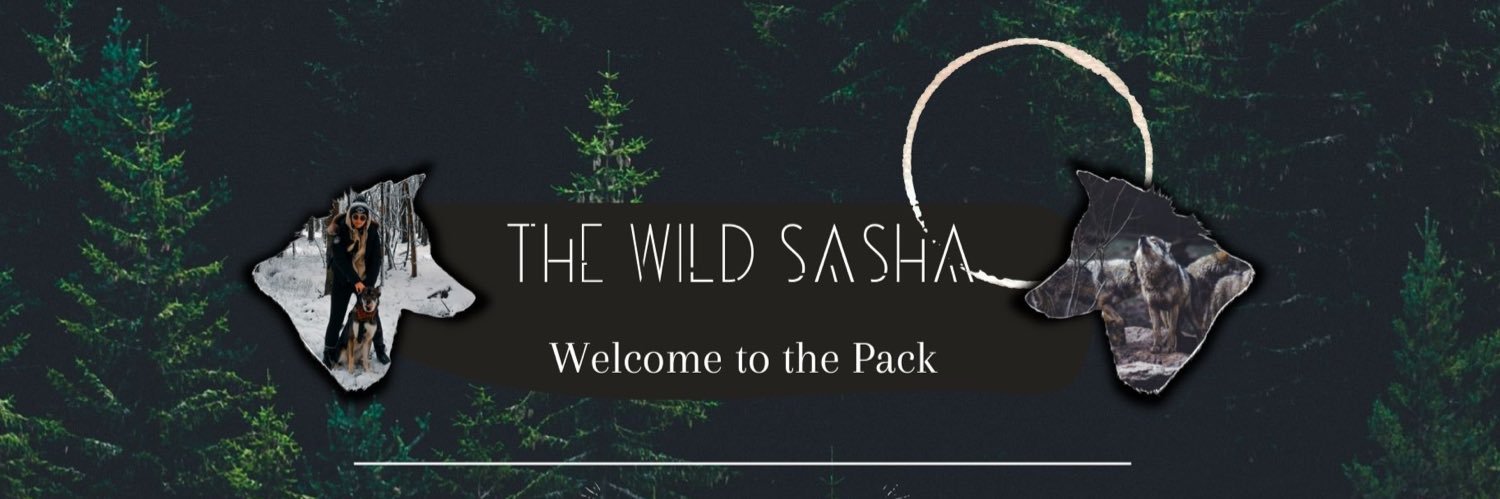 thewildSasha's profile banner image