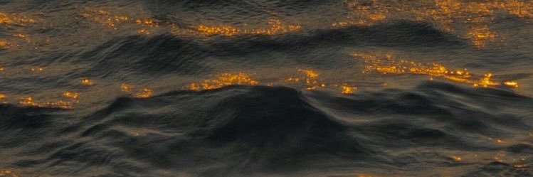 amaranditastari's profile banner image