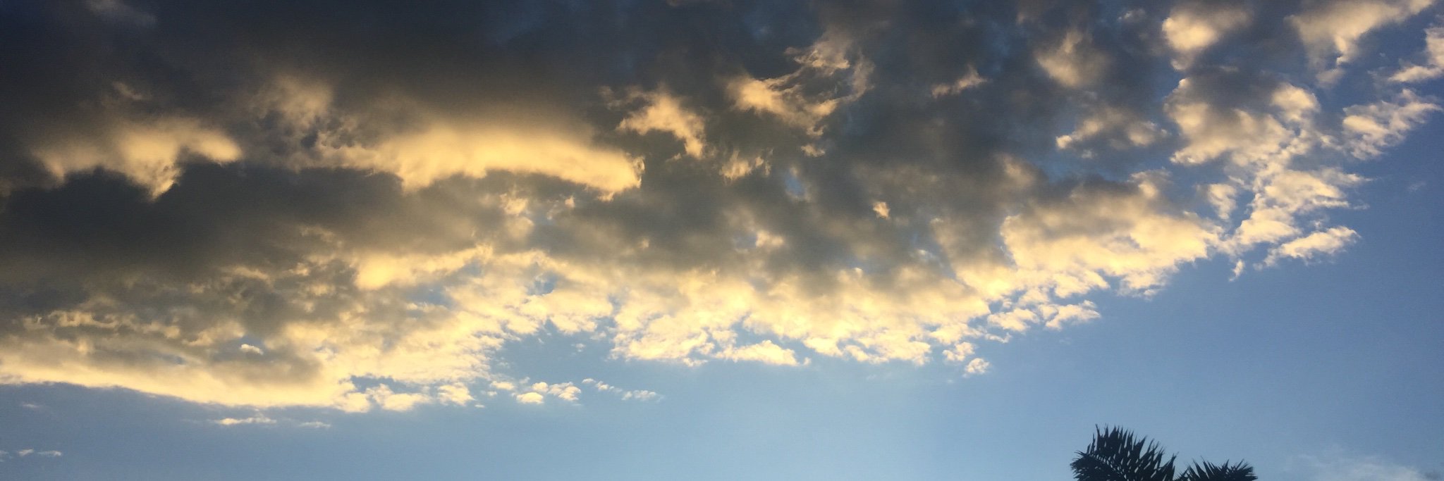 AnaCorena's profile banner image