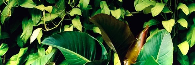 1377hsw's profile banner image