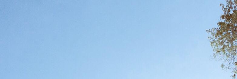 letzte's profile banner image