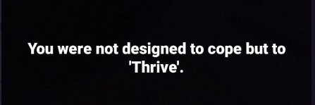 chango600's profile banner image