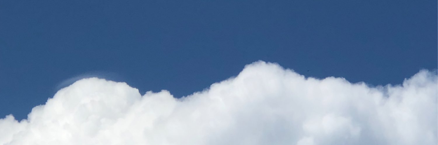 peewinha's profile banner image