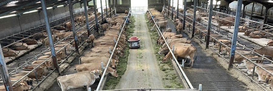 John Kananzwa banner