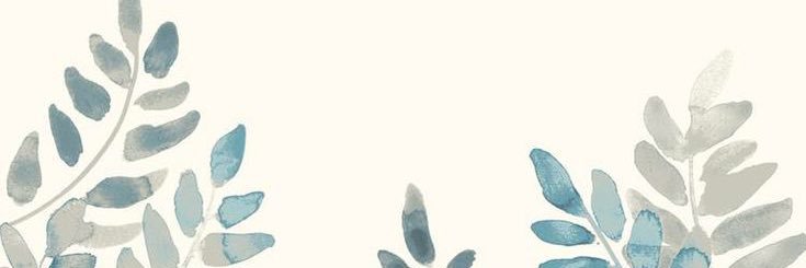 miaudinaa's profile banner image
