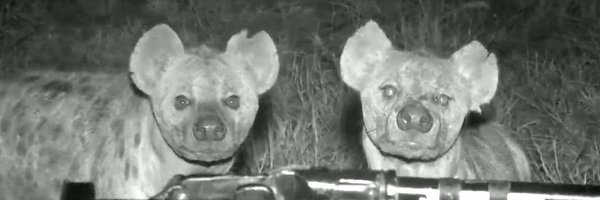 chrisc510 Profile Banner