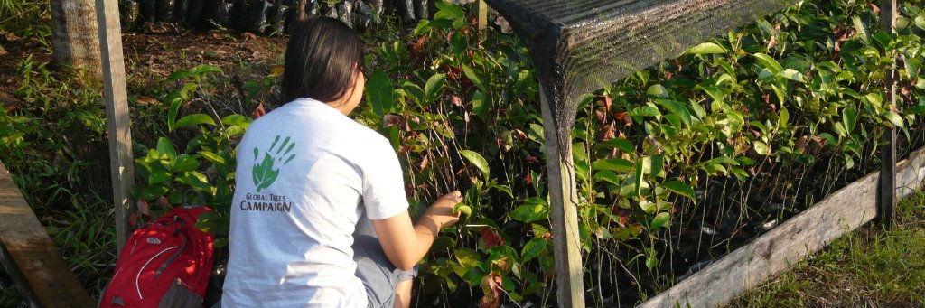 GlobalTreesCampaign banner