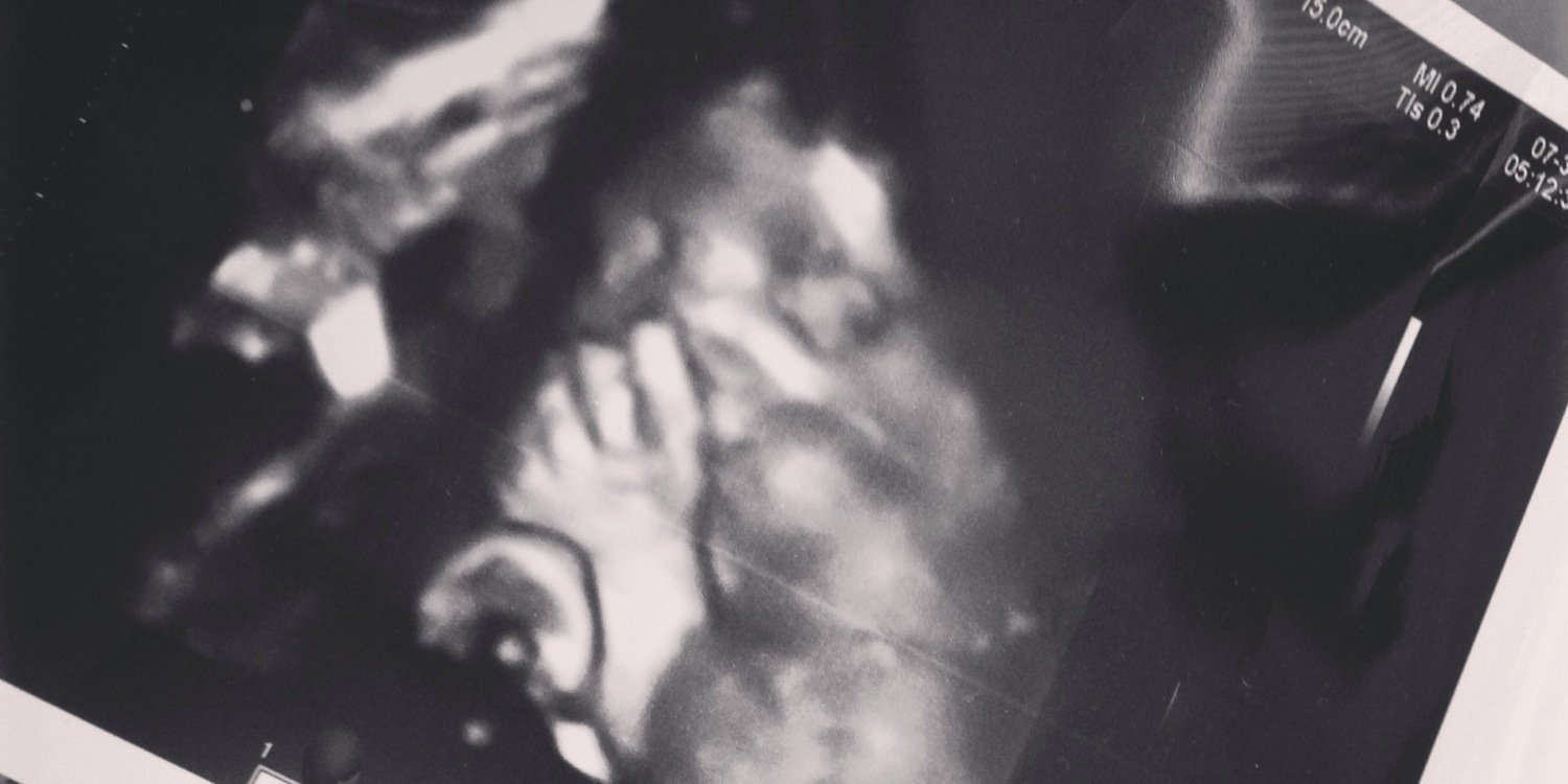 ShayBearBDaName's profile banner image