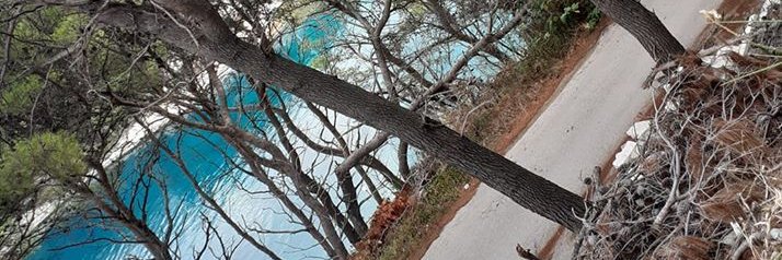 DobrilaM's profile banner image