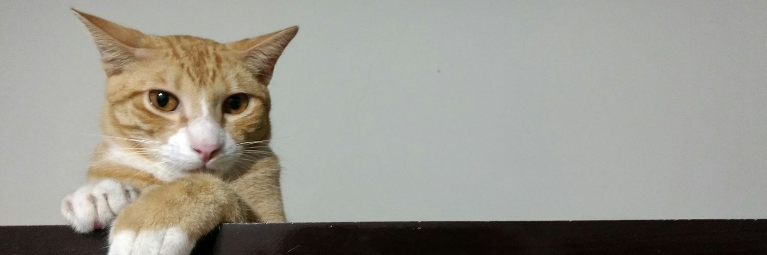 fabiowms's profile banner image