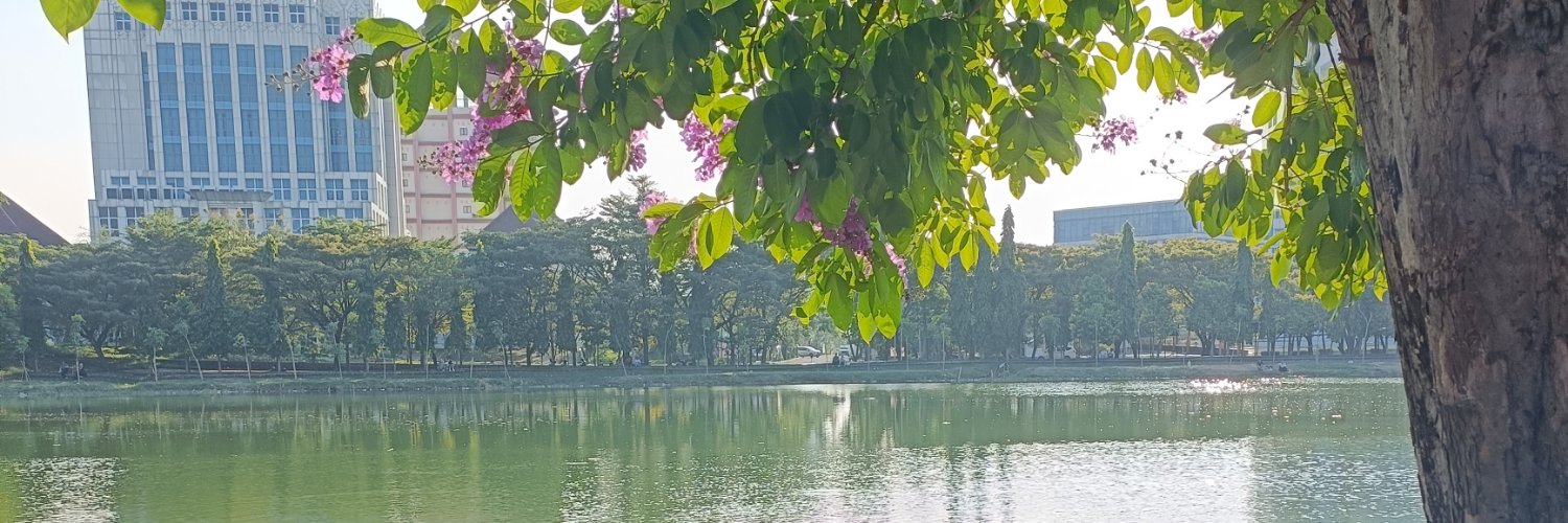 dik_iping's profile banner image