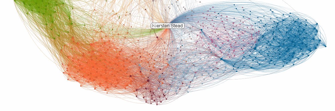 Kiersten Stead banner