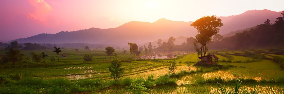 brunods_com's profile banner image