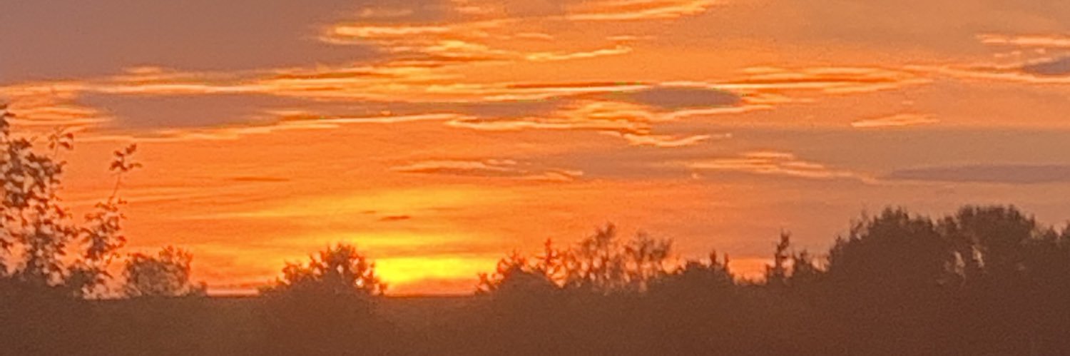 Chaddriskell's profile banner image